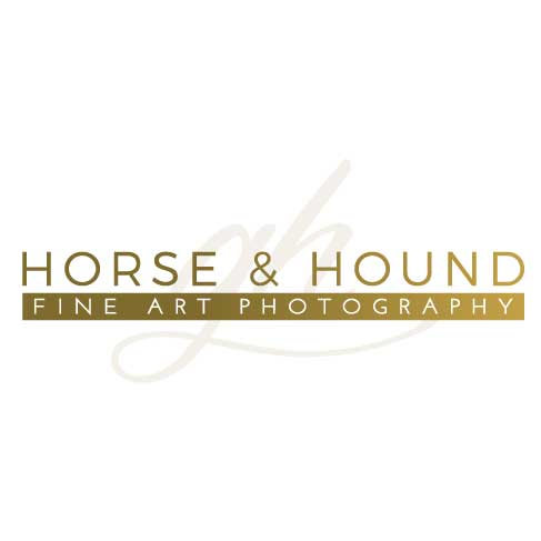 Horse and Hound Photography