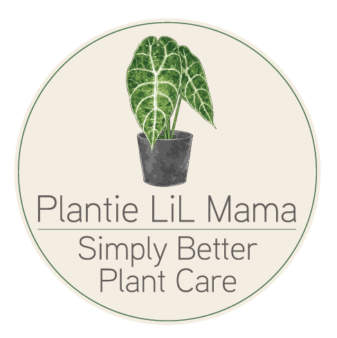 Plantie Lil Mama, Strategic logo brand identity