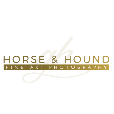 Horse and Hound Photography