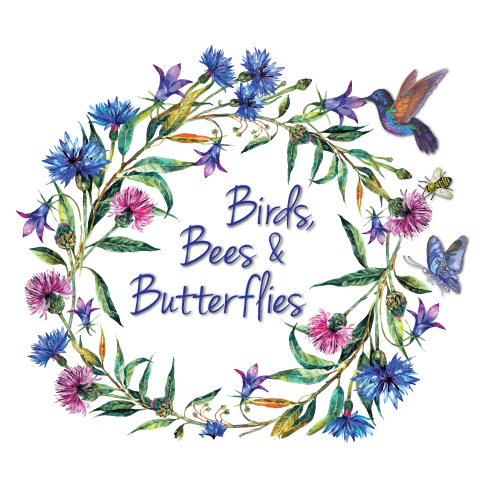 Birds Bees Butterflies Port Perry, Logo Design and Branding for a not for profit business