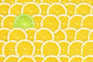 Open Mind, Better Design: Trust the Process—Be the Lime, Not a Lemon!