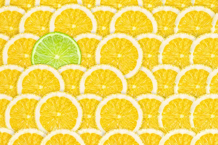 Open Mind, Better Design: Trust the Process—Be the Lime, Not a Lemon!
